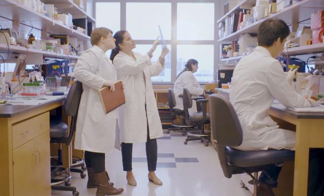 Students work in a lab in a video still from the President's strategic plan videos