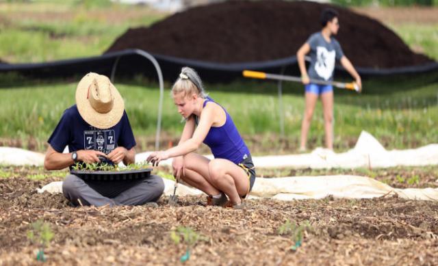 A male and female student crouch in a field and examine young plant sprouts