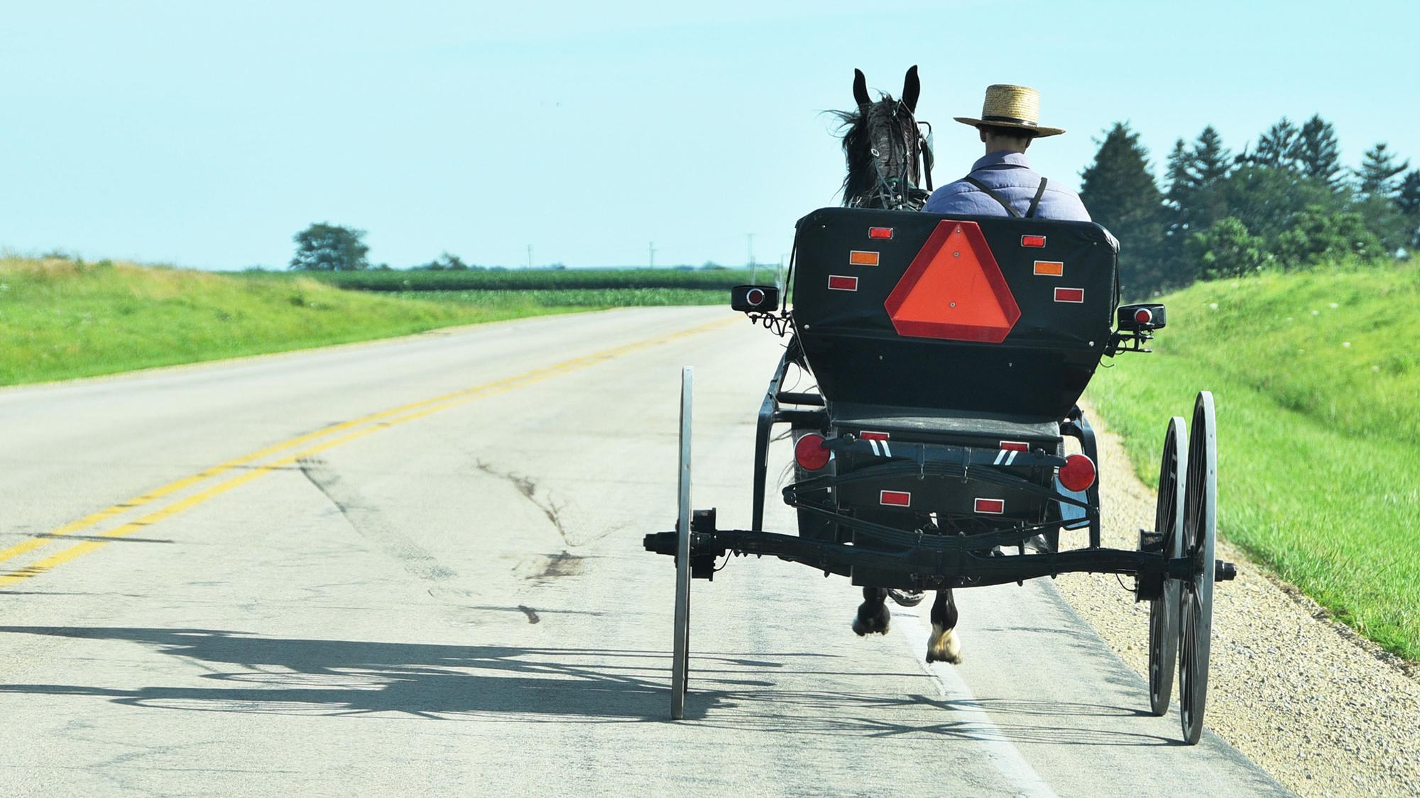 slow moving vehicle sign on the back of an amish buggy