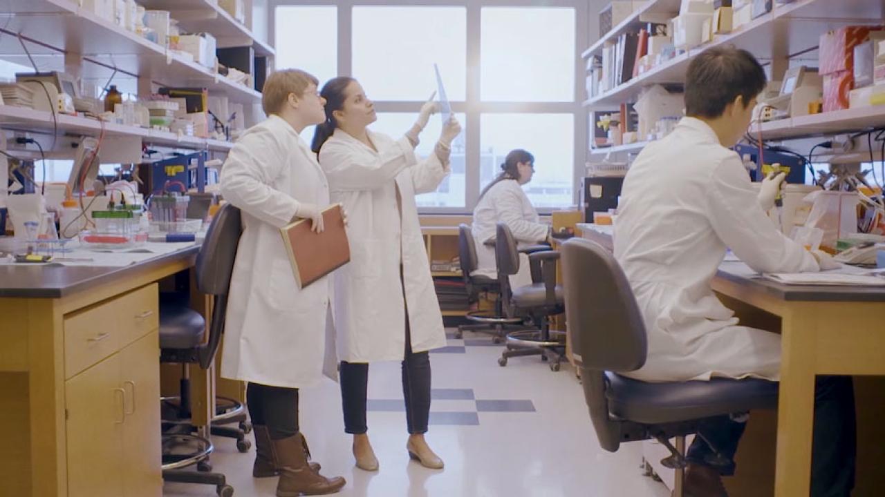 Students work in a lab in a video still from the President's strategic plan videos